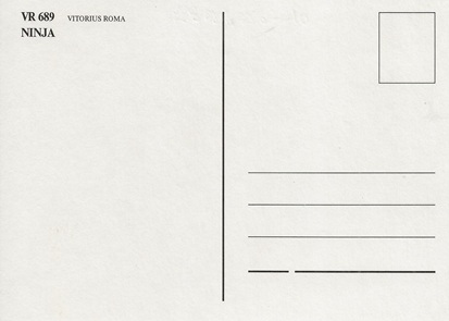 ninja 002.jpg